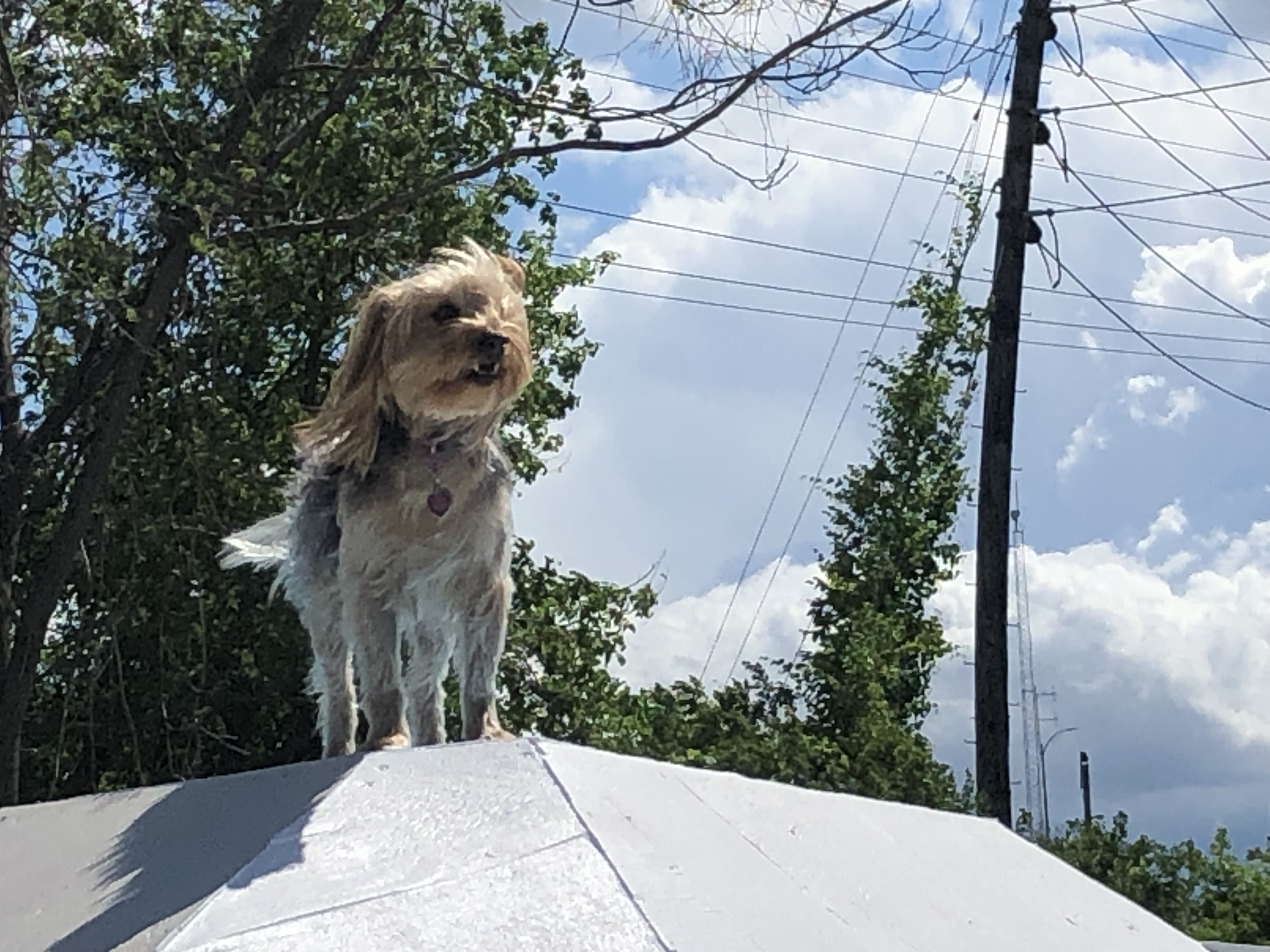 ./2022/06 - St Louis/06 - Day 6/20220526-102204840.JPG